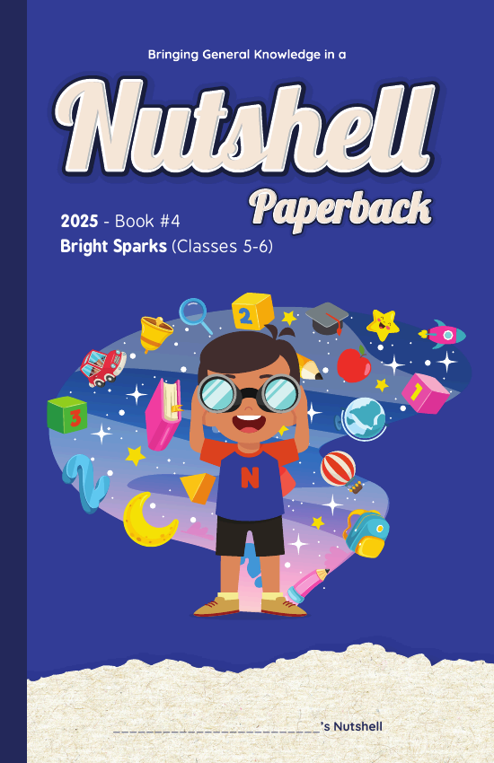 Nutshell Paperback cover for Bright Sparks